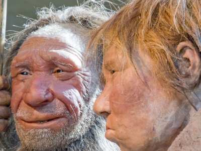 Неандертальці не вимерли: нове дослідження змінює уявлення про еволюцію людини