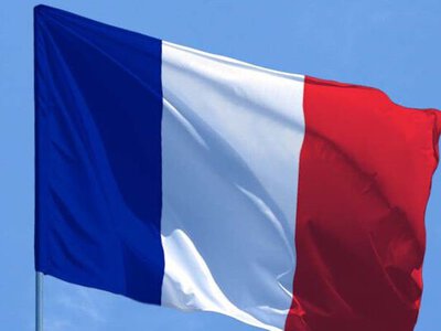 Французький концерн доставить до України 55 сучасних електровозів