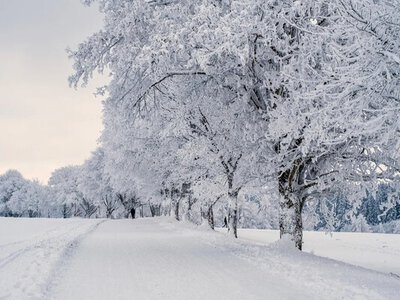 Чи варто чекати морозів та снігу: синоптики відповіли, якою буде зима 2026 року 