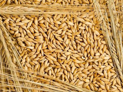 В Україні зростають ціни на популярну крупу