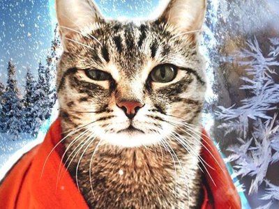 Сильний мороз та сніг до кінця листопада: синоптик розповів, що буде з погодою в Україні