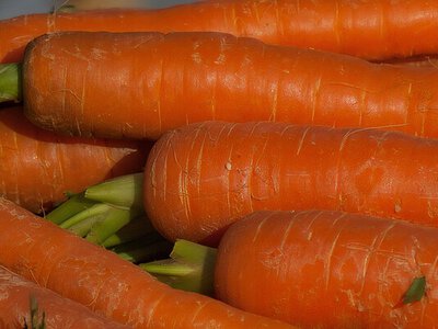 Використайте для зберігання моркви й буряка ці старі речі. Поради городників