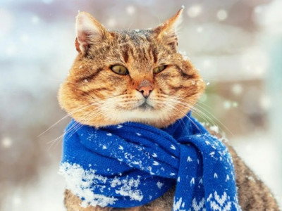 Різке похолодання: синоптики попередили українців про перші морози, сніг та ожеледь