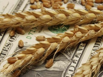 Пшениця стрибнула в ціні: що буде з цінамии