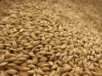 Ціни на ячмінь пробили 11 000 грн/т: дефіцит та дорогі перевезення штовхають ринок угору