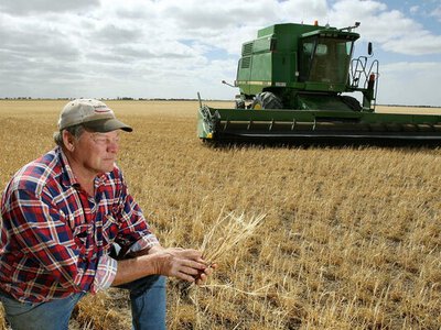 Які фермерські господарства можуть отримати державну допомогу зі сплати ЄСВ: роз’яснення