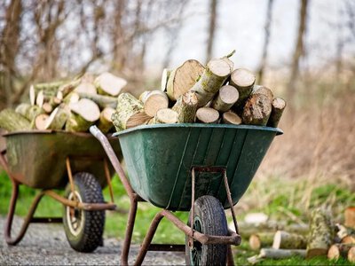 Які дрова горять найдовше, найбільше гріють і допомагають заощадити: пояснення експертів 