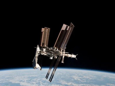 Крихітна земна рослина 9 місяців вижила в космосі і змусила вчених переосмислити межі життя