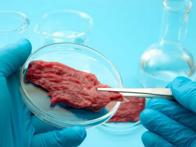 Угорщина ввела заборону на виробництво і продаж лабораторного м'яса