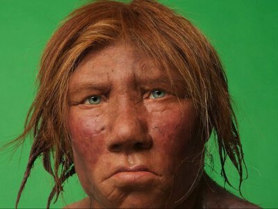 Спливла шокуюча правда про неандертальців