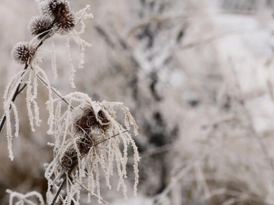 Як почнеться зима в Україні: метеорологиня розповіла, чи будуть опади в грудні 