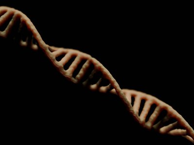 Вчені створили модель, що виявляє приховані генетичні ризики