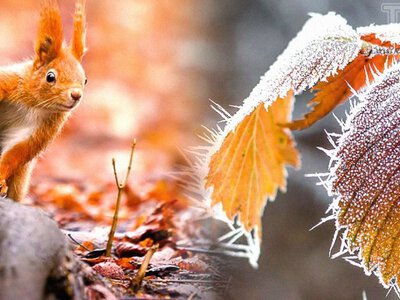 Синоптик назвав дату різкого потепління в Україні