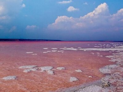На Одещині з’явиться солеварня, яка покриватиме понад половину потреб солі в Україні