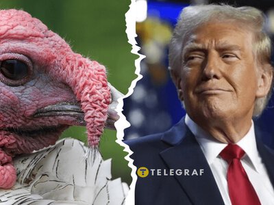 Трамп знову відзначився: церемонія помилування індичок не обійшлася без його дотепів (відео та меми)