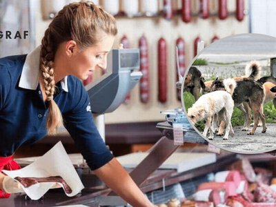 "Шукають, де національний кешбек витратити". Українців розвеселила пухнаста черга "покупців" біля магазину (відео)