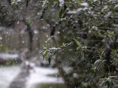 Синоптик розповів, якою буде погода в Україні до кінця тижня