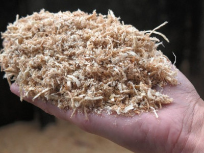 Як перетворити звичайну тирсу на цінне добриво для городу