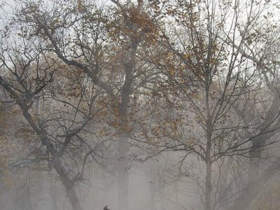 Якою буде погода в грудні