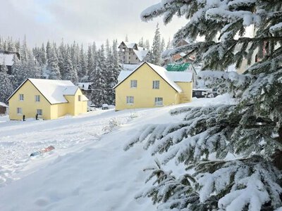 Гірськолижний курорт Драгобрат виставили на продаж за 117 млн грн