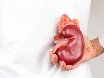 Щоб зберегти нирки здоровими: 10 звичок, від яких варто відмовитися