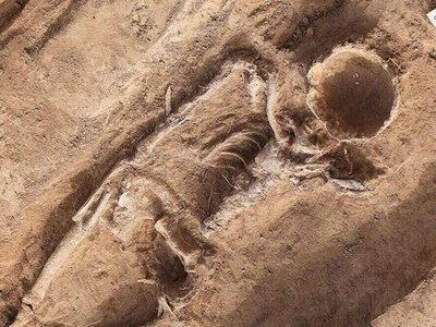 Мав “інопланетну” форму голови і загинув у бою: в Іспанії знайшли рештки лицаря з рідкісною генетичною мутацією