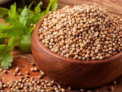 Фермери в захваті: як коріандр перетворюється на прибуткову нішу