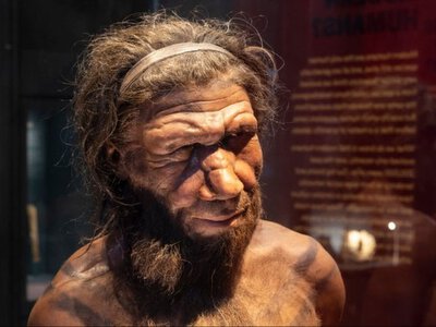 Якою мовою розмовляли неандертальці: вчені мають відповідь