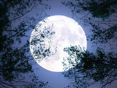 У ніч на 5 грудня українці зможуть побачити Холодний супермісяць