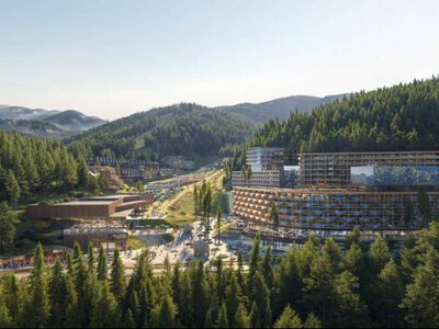 Карпатські гектари під загрозою: гучний проєкт породив запитання