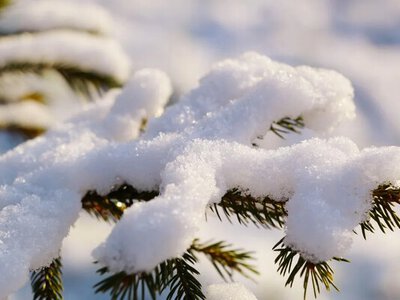 Якою буде зима в Україні: в Укргідрометцентрі зробили прогноз 