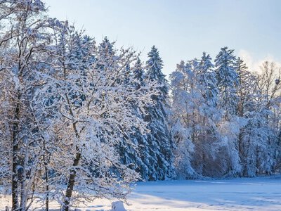 Якою буде зима в Україні: прогноз Укргідрометцентру 