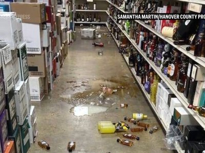 Єнот влаштував п'яне свавілля у винному магазині (фото)