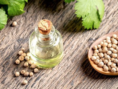 Українці заробляють на коріандровій олії: новий бізнес приносе шалений прибуток