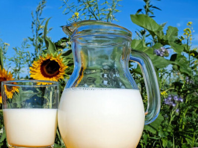Українські молочні ферми наростили виробництво молока: яке зростання за 2025 рік