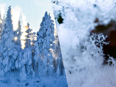 Чи вдарять сильні морози в Україні у грудні