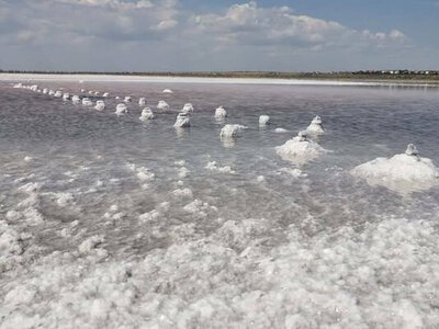 Новий солезавод під Одесою: як він допоможе і людям, і Куяльнику