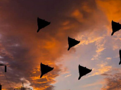 Суми під масованою атакою ворожих БпЛА по об’єктах енергетичної інфраструктури