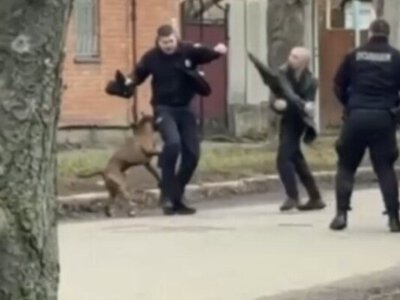 У Полтаві під домашній арешт відправили ветерана ЗСУ, чий пітбуль під час конфлікту покусав поліцейських