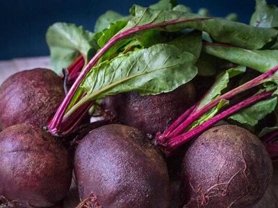 Буряк як природний захисник мозку: чи може він сповільнити хворобу Альцгеймера