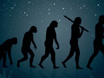 Важкі питання. Чи сумісні Біблія і теорія Дарвіна?