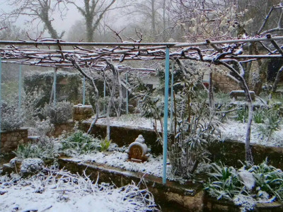 Грудень 2025 на городі, в саду та квітнику: зимові турботи для рясного врожаю та яскравого цвітіння