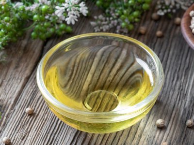 Як українці заробляють на коріандровій олії