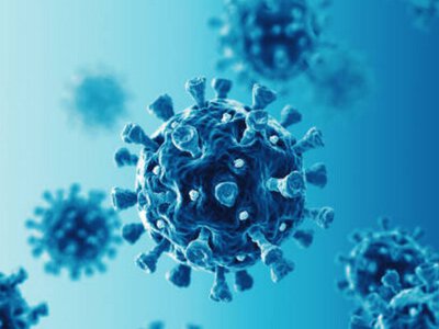 Шахрайство, пов'язане з COVID, завдало збитків державним фінансам Великої Британії в розмірі 11 млрд фунтів стерлінгів