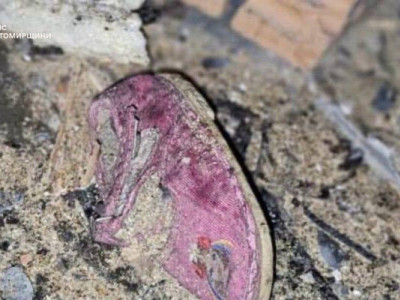 Зʼявилися фото з місць ураження РФ території Житомирщини