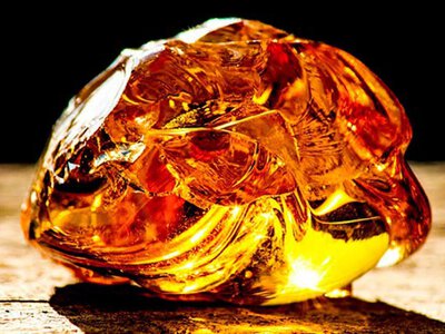 Щоб шукав бурштин. В Ужгороді меру міста подарували лопату