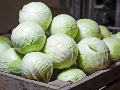 Ціни на капусту падають: що приховують за новим ринковим трендом