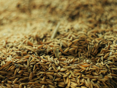 Росія б’є по тому, на чому стоїть українська економіка, — представник аграріїв про удари по портах