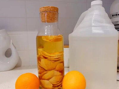 Мандаринові кірки — не сміття: цей трюк з кухні здивує всіх