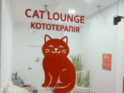 Через загиблих тварин у котокафе Cat Lounge в Одесі відкрито кримінальне провадження: скандал набуває розголосу